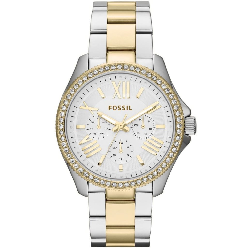 Fossil Watch Cecile AM4543 | Watches Prime