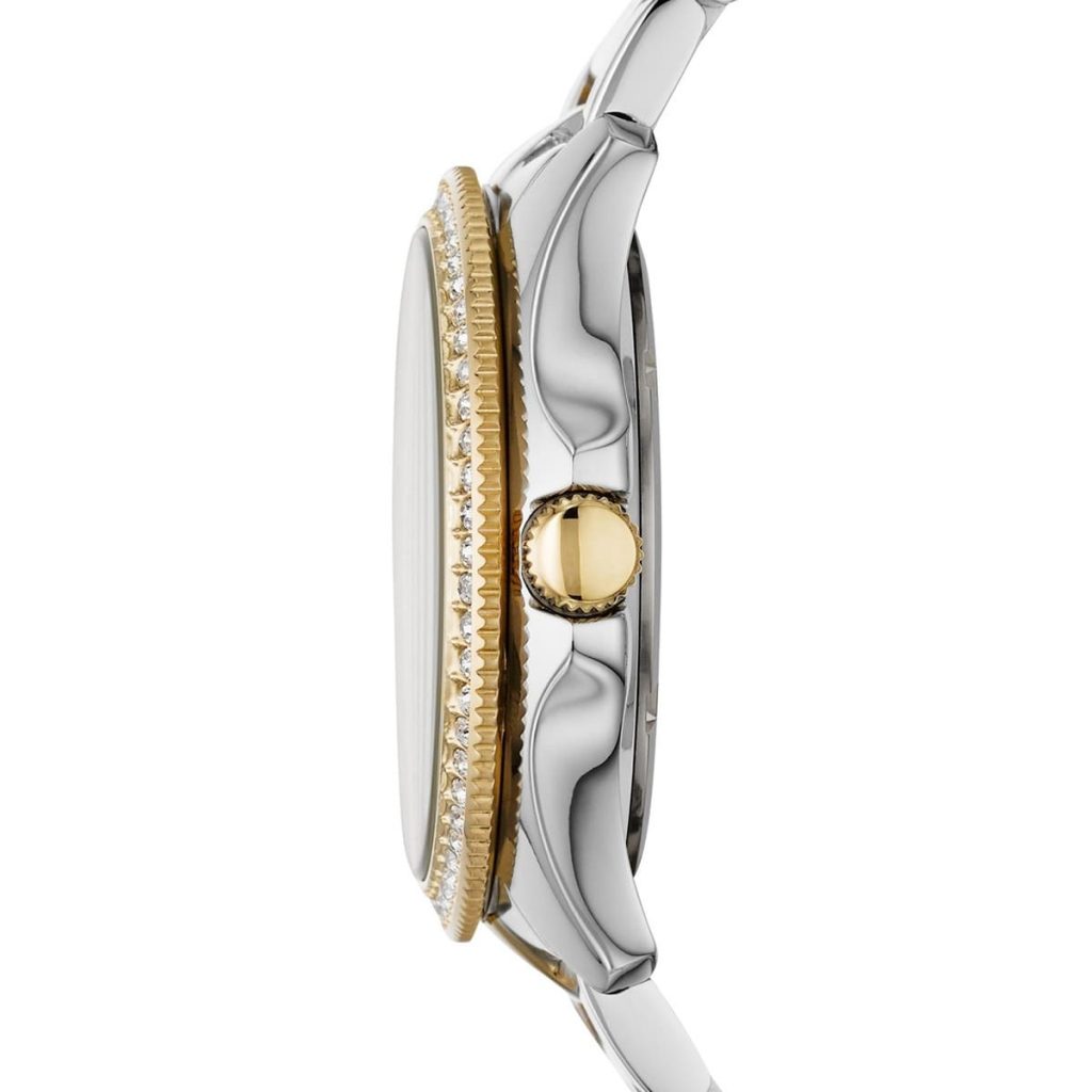 Fossil Watch Cecile AM4543 | Watches Prime