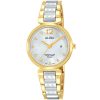 Alba Ladies Watch Fashion AH7N32X1 | Watches Prime