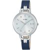 Alba Ladies Watch Fashion AH7Q45X1 | Watches Prime