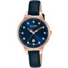 Alba Ladies Watch Fashion AH7U50X1 | Watches Prime