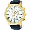 Alba Men's Watch Prestige AM3094X1 | Watches Prime