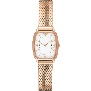 Emporio Armani Men's Watch Epsilon AR2491 | Watches Prime